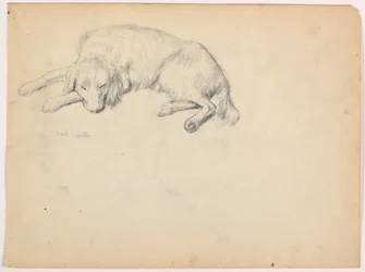Piirros, Dash (setteri), n. 1862.