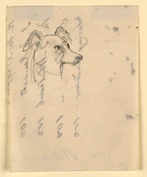 Piirros, koiran pää, luultavasti Milo (pointteri), n. 1862.