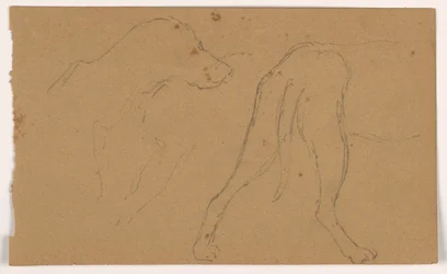Piirros, Milo (pointteri), pää ja vartalo, n. 1862.