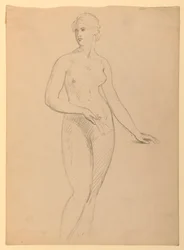 Naisakti, tutkielma Mrs. Henry Schieffelinin muotokuvaa varten