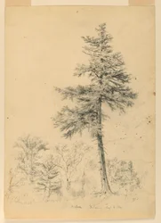 Hemlockin tutkimus, Gorham, New Hampshire