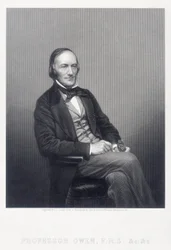 Sir Richard Owen, englantilainen eläintieteilijä, 1860.