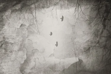 Ethereal Birds: Talven lento