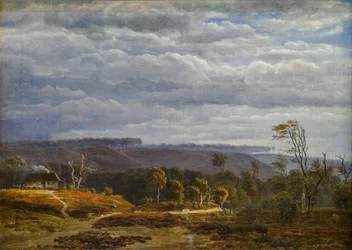 Näkymä metsäiseen maisemaan Jyllannissa