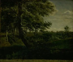 Ørsbjergin metsä Aarupissa, Funenissa