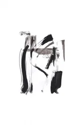 Dynaamiset musteviivat