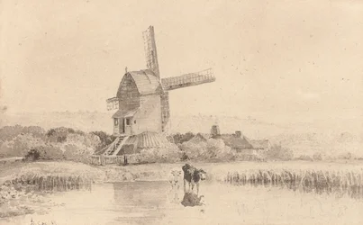 Nautakarjaa juottelemassa tuulimyllyssä Dulwich Commonilla, 1811
