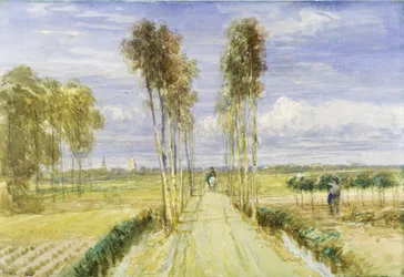 Poplar Avenue (akvarelli lyijykynällä ja musta liitu paperille)
