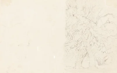 Puut [verso]