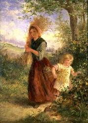 Vehnän kerääminen