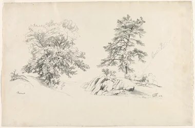 Kastanja ja mänty, 1869.