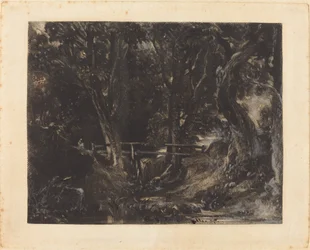 Dell Helmingham Parkissa, Suffolkissa