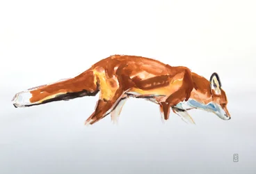 Red Fox, 2020 (akvarelli ja värikynä)
