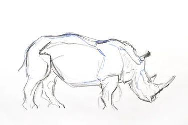 White Rhino, 2021 (liitu ja akvarelli paperille)