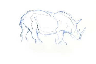 Valkoinen sarvikuono, 2020 (kynä paperille)