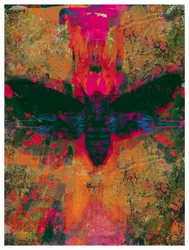 Death Moth Collage, 2016 (kollaasi paperille)