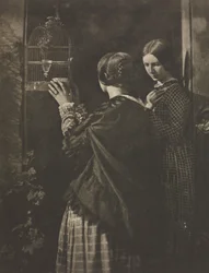 Kameratyö: Lintuhäkki, 1909.