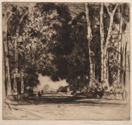Avenue