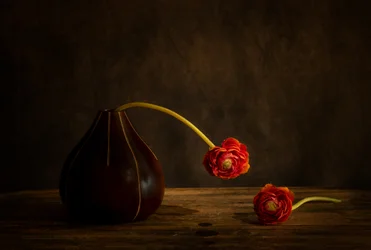 Moody Ranunculus -asetelma