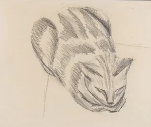 Nukkuva kissa (kynä paperille)