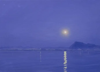 Kuunvalo Udaipurin yllä