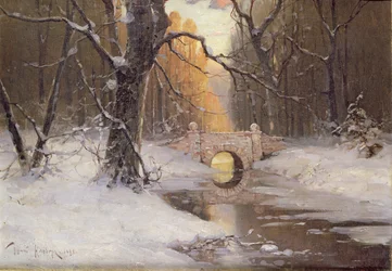 Metsäinen jokimaisema