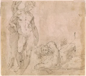 Beccafumi - Verso Puunrunkoa vasten nojaava miesakti ja makuuasennossa oleva miesakti, pää taaksepäin heitetty, n. 1530-1540.