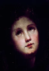 Kristuksen laskeutuminen epävarmuuteen. Yksityiskohta nuoren miehen kasvoista sukeltaa pimeään (pimeään) ja katselee taivasta. Domenico Beccafumin (1486-1551) maalaus