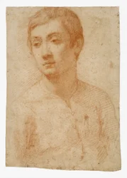 Nuoren pää, n. 1600-25 (punainen liitu paperille)