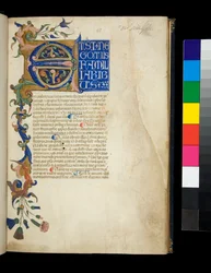 Ms 373. Pseudo-Cicero, Rhetorica ad Herennium ja muita teoksia, f.1r. Valaistu alkukirjain [E] ja osittainen reunus akantuksen lehti- ja kukkakoristeella, ensimmäinen tekstirivi valkoisilla kirjaimilla sinisellä pohjalla, n. 1337 (pergamentti)