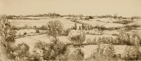 (Untitled)