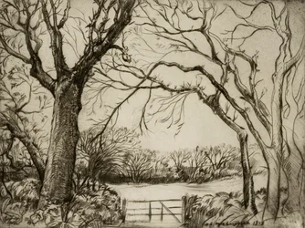 Tragenna Wood