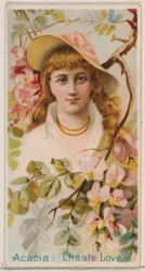 Acacia: Chaste Love, sarjasta Floral Beauties and Language of Flowers N75 Duk..., 1892.