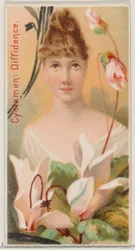 Cyclamen: Diffidence, sarjasta Floral Beauties and Language of Flowers N75 for Du..., 1892.