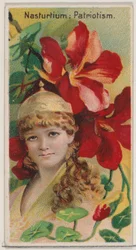 Nasturtium: Patriotism, sarjasta Floral Beauties and Language of Flowers N75 ..., 1892.
