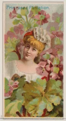 Primrose: Flirttailu, sarjasta Floral Beauties and Language of Flowers N75 for Du..., 1892.