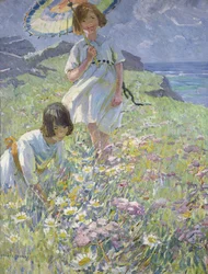 Kallion huippu (öljy kankaalle)
