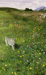 Jänis kevätkukissa