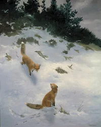 Rakkautta ensi silmäyksellä, Ketut lumessa