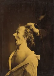 Hämmästys, hämmästys, hämmästys, 1854-1856, painettu 1862.
