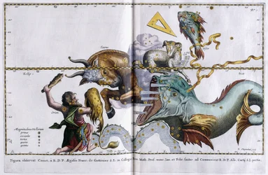 Tähtikartta Orionin, Härän, Oinaan ja Kalojen tähdistöistä, 1666-1668