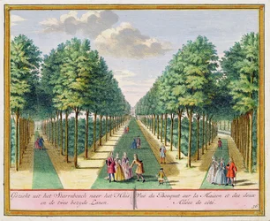 Näkymä puusta taloon ja kahdelle sivukadulle, Watervliet, Het Zegen Pralent Kennemerlandista, Hendrik de Leth ja Matthias Brouerius Van Nidek, julkaistu n. 1700-1730