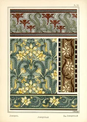 Jonquil