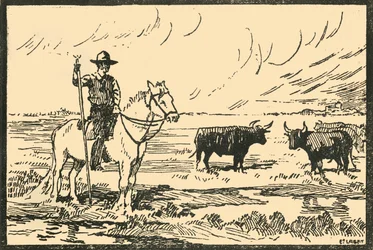 "Camargue Landscape - Näkymä Camarguesta", 1920-luku.