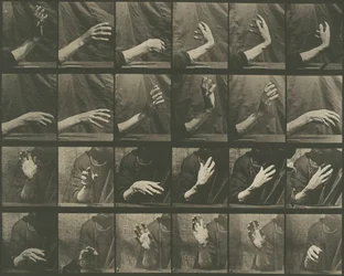 Animal Locomotion, levy 535, 1887.