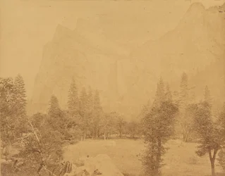 Pohona. Yosemiten laakso.