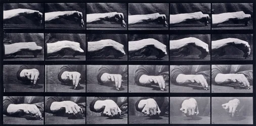 A Motion Study of a Hand, n. 1872-1885