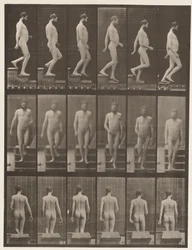 Levy 127. Laskevat portaat, 1872-1885