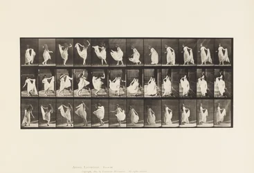 Lauta 193. Tanssi (fancy)