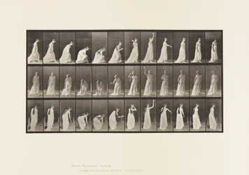 Lauta 306. Pallon poimiminen ja sen heittäminen, 1885